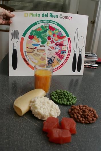 alimentacion sana equilibrada variada y suficiente